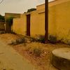 suliman_1985