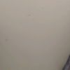 piero88674