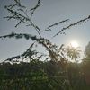fikriardoni_1