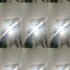 stvr_fir311