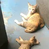 binmas_squad