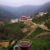 birgul_800