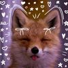 shanny_kitty