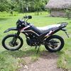 fedy66