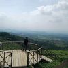 liven_zx
