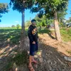 mrviinn_x