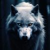 angry_volf1996