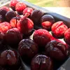 piupiuzu