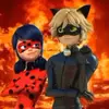 chat noir is sexy😍‼️