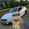 mamani7777
