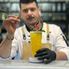 saker_barista