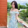 phanvietchi2004