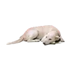 itzgummyman