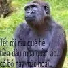 hng.l.duy00