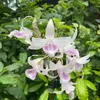 10041991duongbui