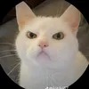 use_name10234