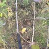 snipers269