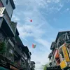 thuanhoang036