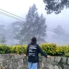 xenmdn_