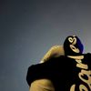 simpa_055