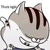 hoanghongnhuu
