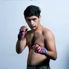 elias_rino_thaifighter