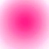rosa_30.3