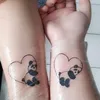 delphinecorvo
