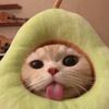 niru_c