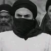 xi_r313