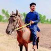 tahiryar845