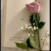 laura_60_1