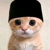 zaa_fha25