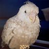 marwakabtour1