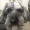 ducko_09