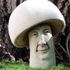 figglefungus