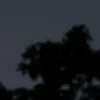 vinycius_sulzbach