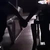 thelastoftherealonesz