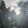 gamingbio343