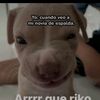 xavi._.i