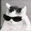sdfo.4