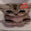 crhily
