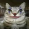 nick._.72