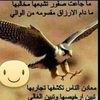 user7exr1bervj