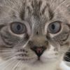 rockymellakitty