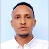 user6833431350311