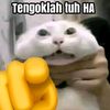afgan_pppppp