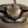 undrgnd_
