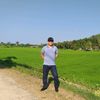thuongvuls