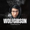 WolfGibson🥷🏿🥷🏻👨‍🚀💚🐺